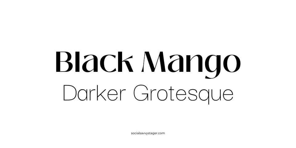 Contemporary Canva fonts