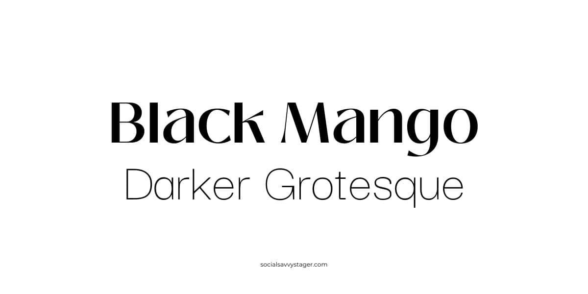 Contemporary Canva fonts